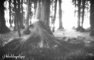 PicsArt_1430793183378